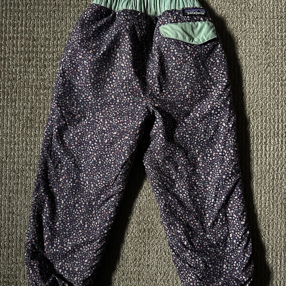 Patagonia reversible pants